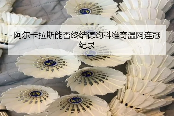 阿尔卡拉斯能否终结德约科维奇温网连冠纪录